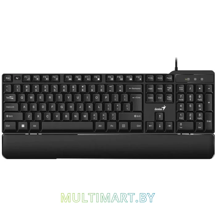 Клавиатура Genius KB-100XP